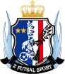 Z FUTSAL SPORT